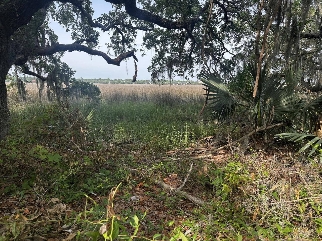 2342 Parsonage Road Photo 9