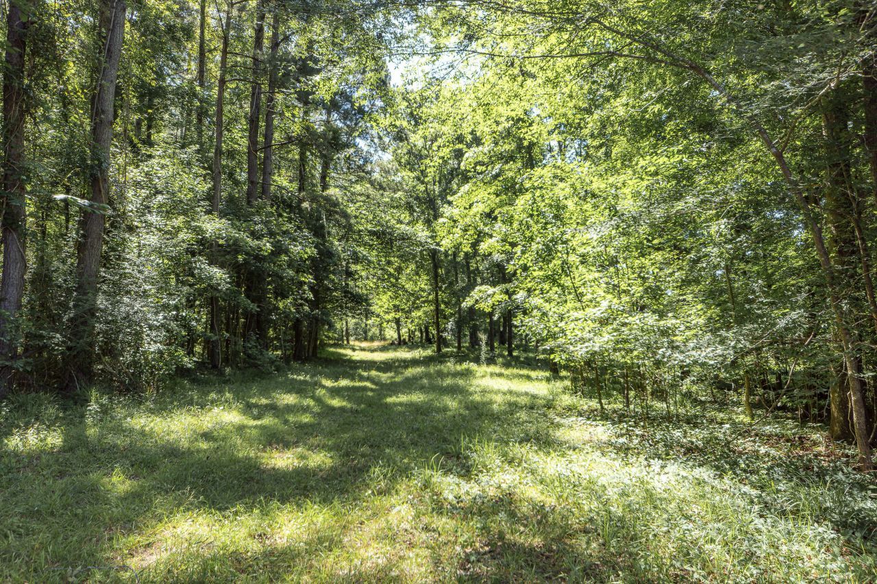 2497 State Road  Photo 12