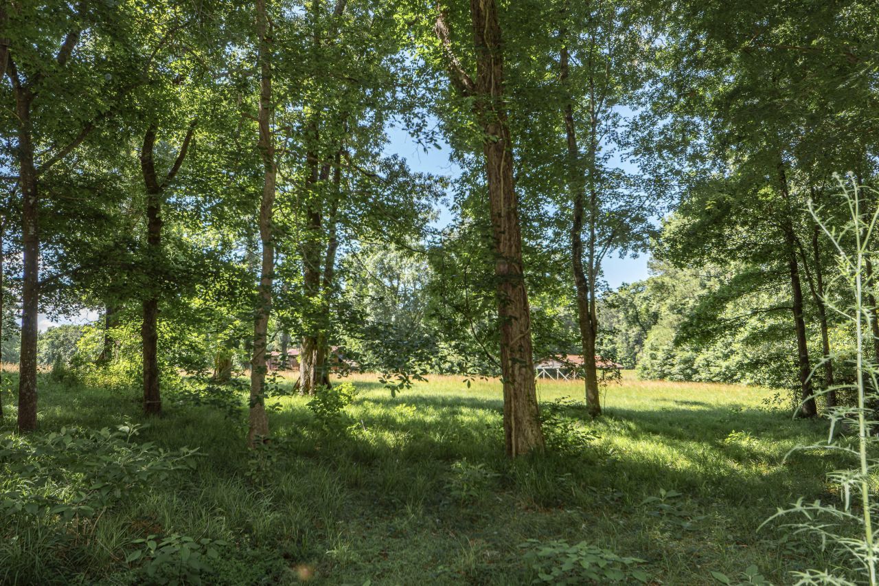 2497 State Road  Photo 14