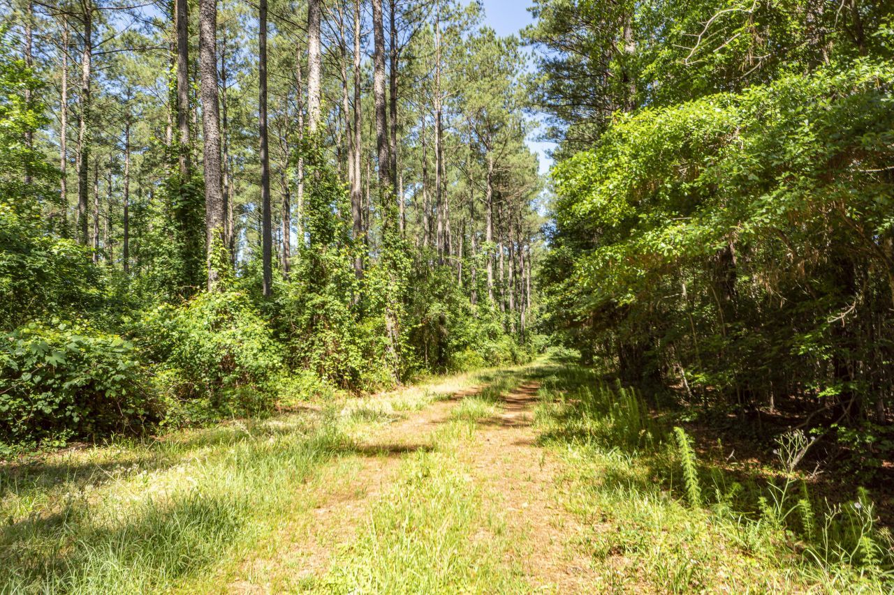 2497 State Road  Photo 8