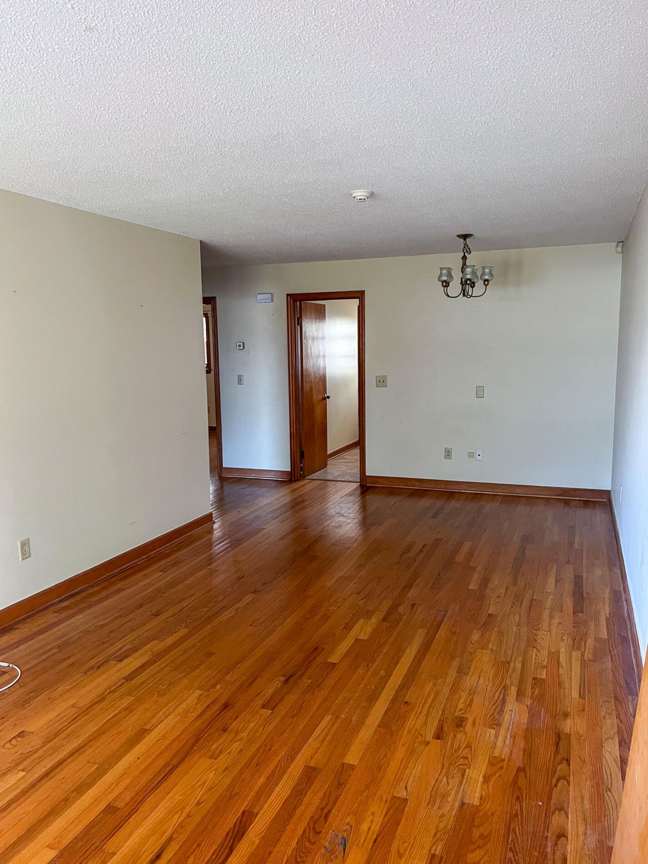 1224 Wappoo Road Photo 16