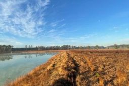 765 Percy Lane photo 4