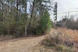 0 Gallashaw Road photo 4