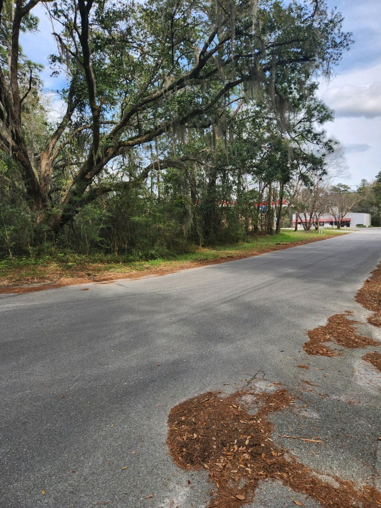 205 Jefferies Boulevard Photo 6