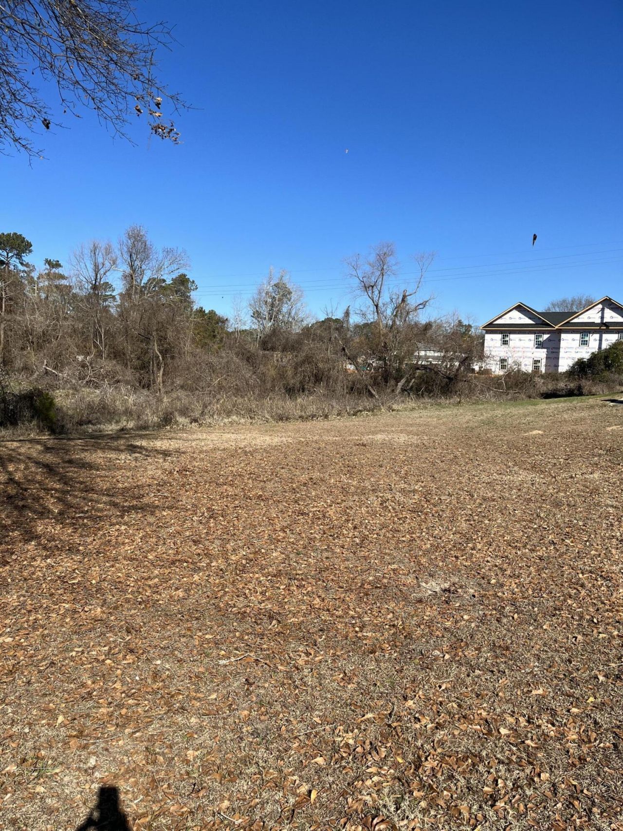 Ridgewood Drive Photo 10