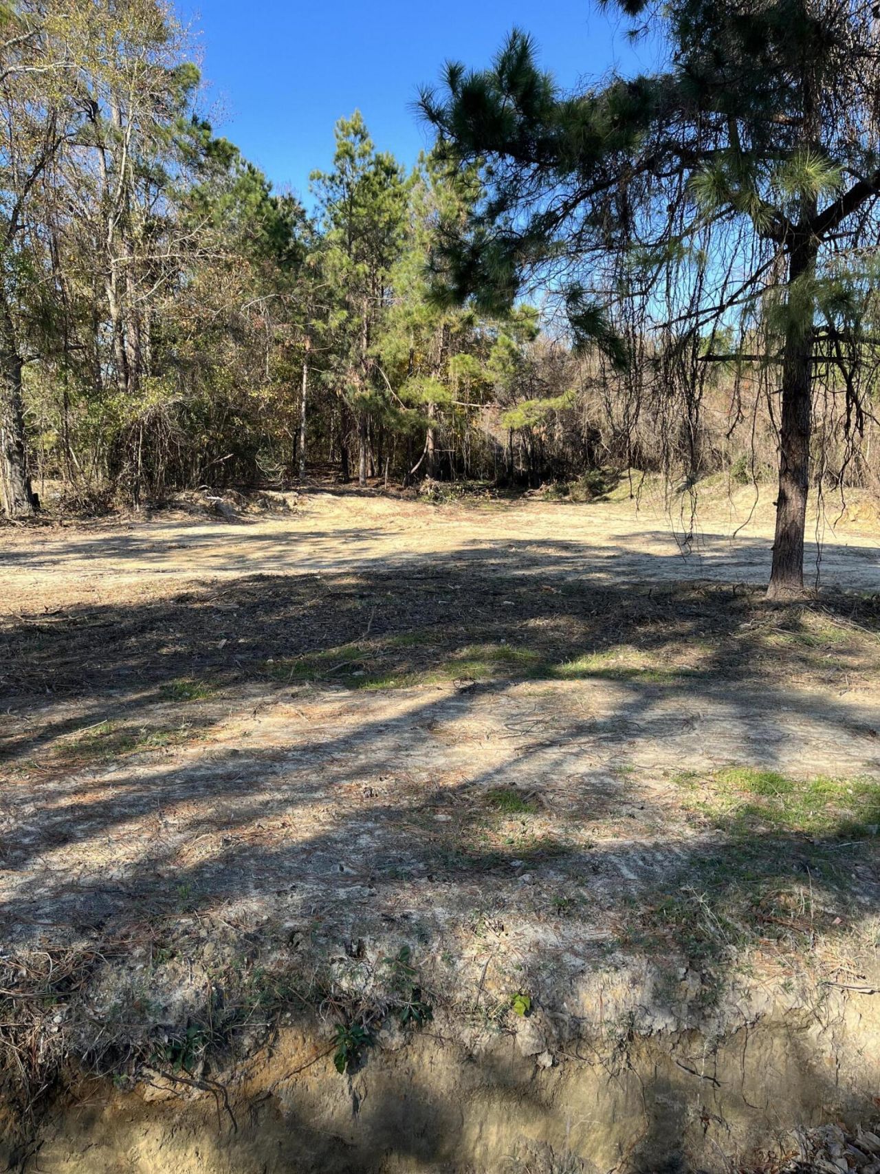 Ridgewood Drive Photo 13