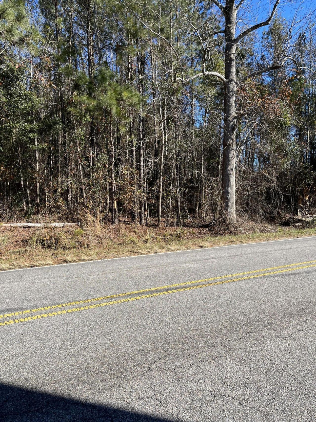 Ridgewood Drive Photo 14