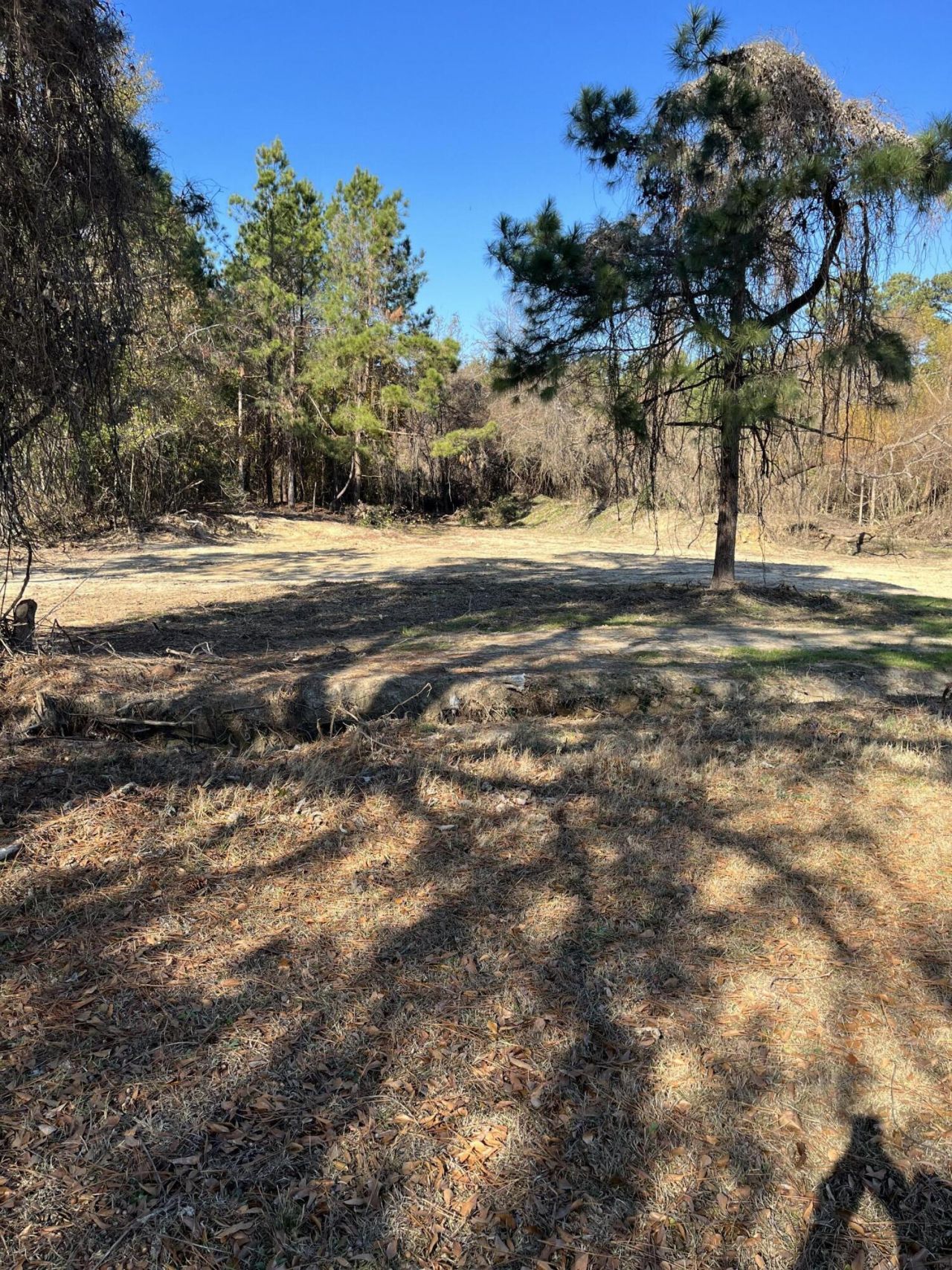 Ridgewood Drive Photo 15