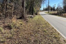 Ridgewood Drive photo 4