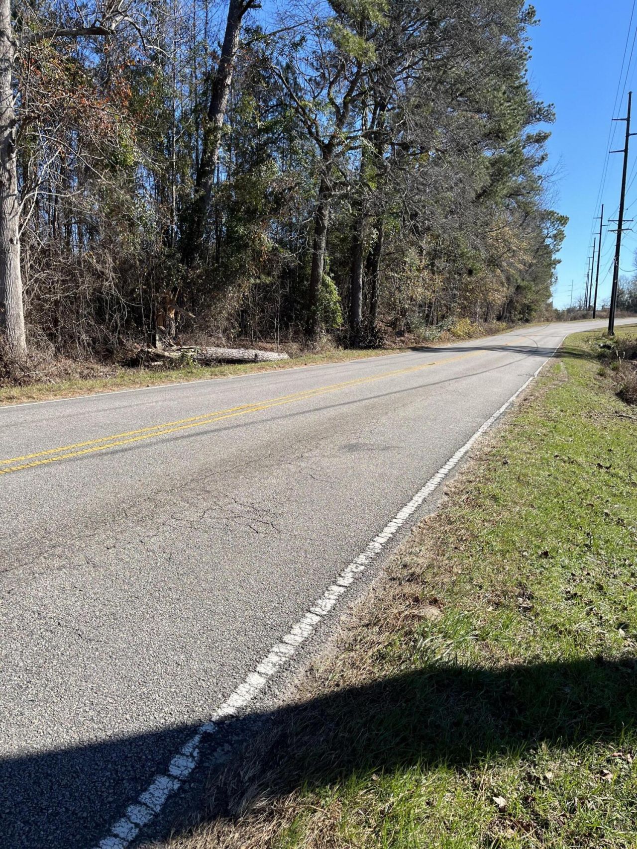 Ridgewood Drive Photo 5