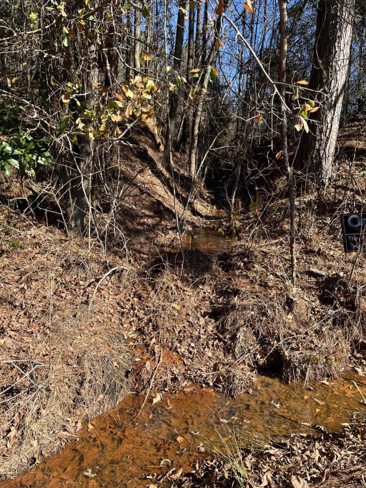 Ridgewood Drive Photo 6