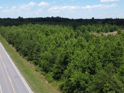 0 Nates Store Road, Cameron, SC 29030