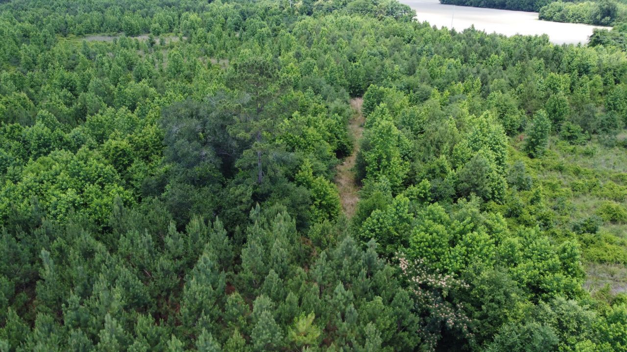 0 Nates Store Road Photo 10