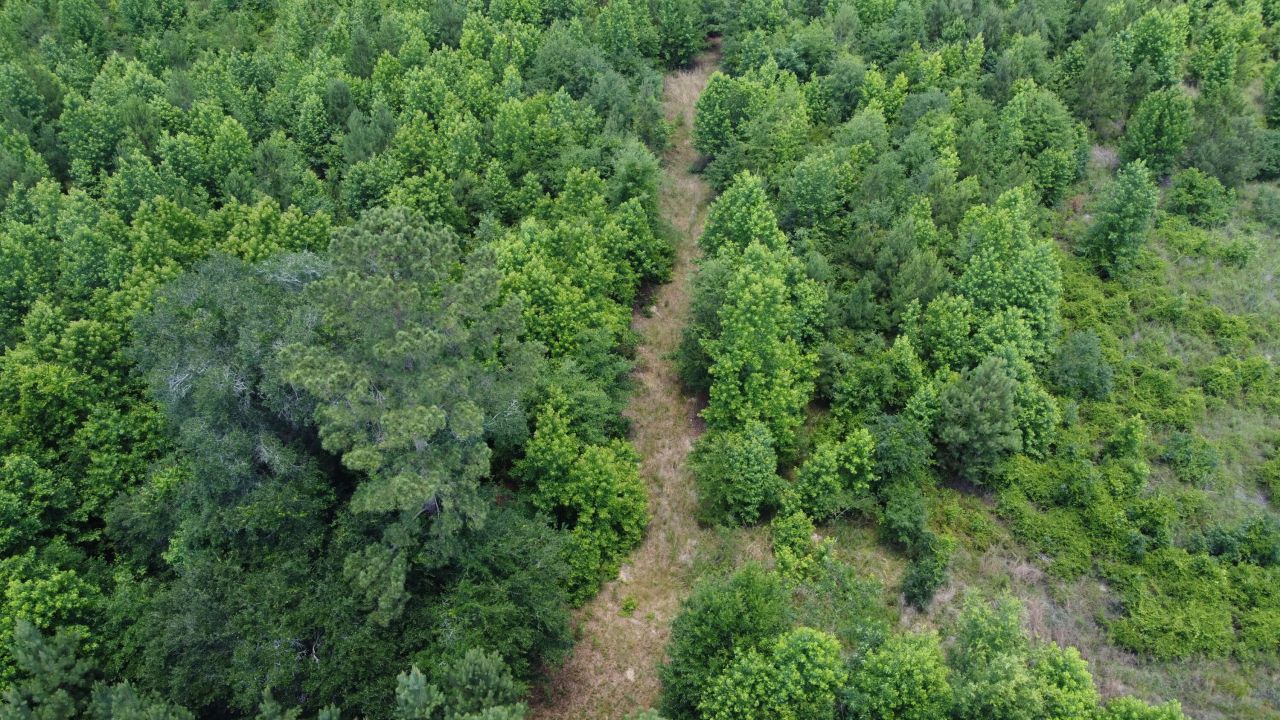 0 Nates Store Road Photo 11