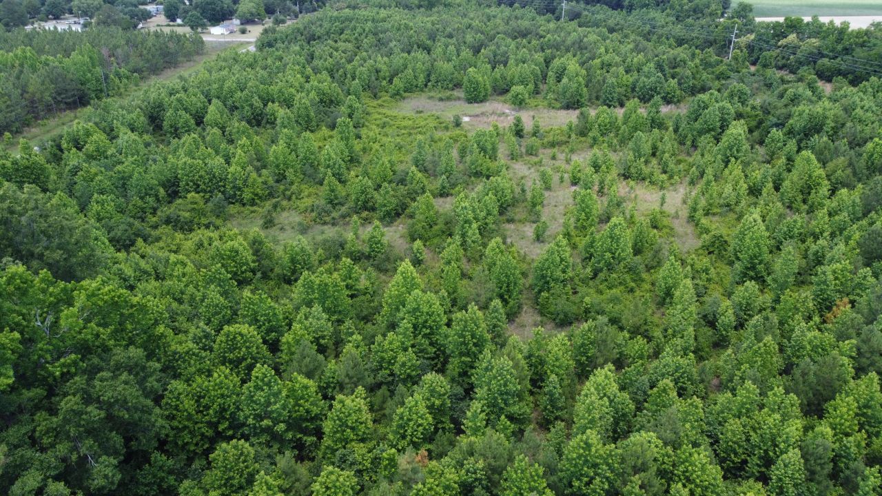 0 Nates Store Road Photo 12