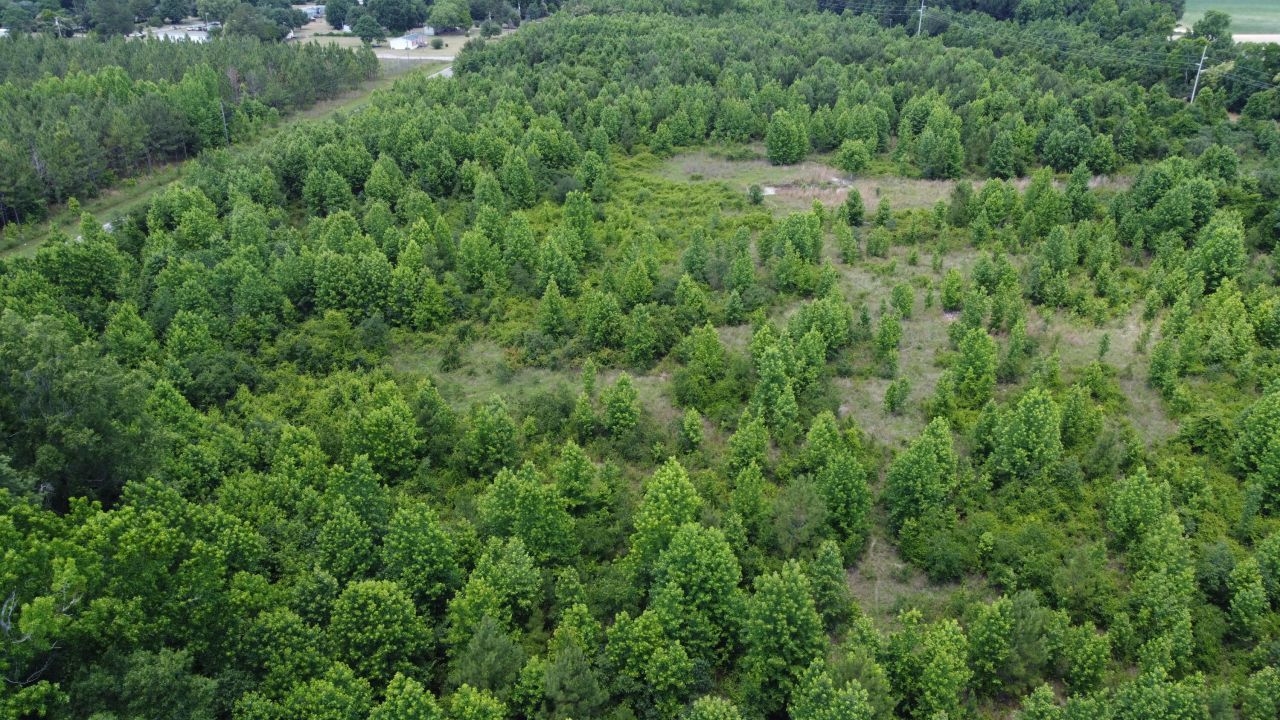 0 Nates Store Road Photo 13