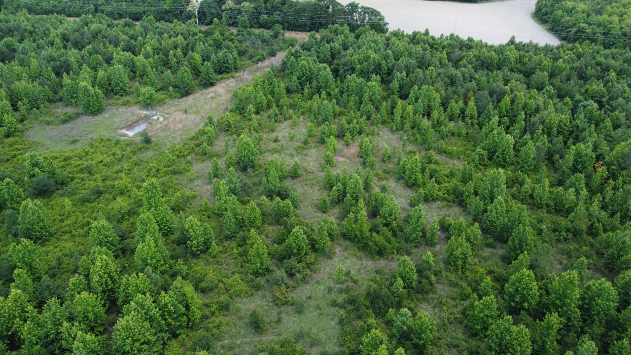 0 Nates Store Road Photo 15