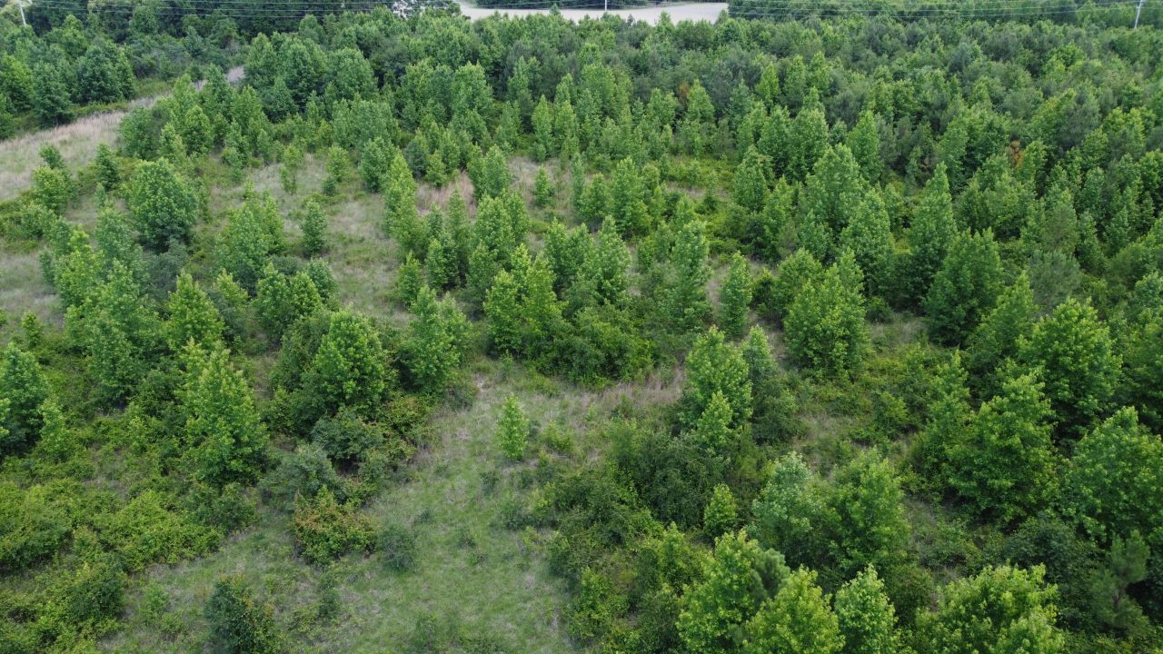 0 Nates Store Road Photo 16