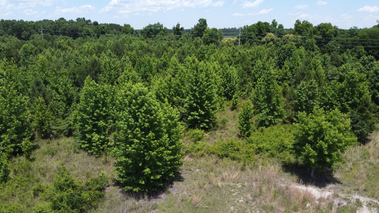 0 Nates Store Road Photo 20