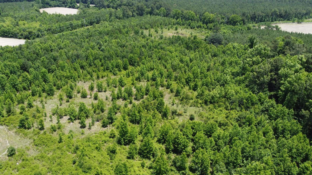 0 Nates Store Road Photo 26