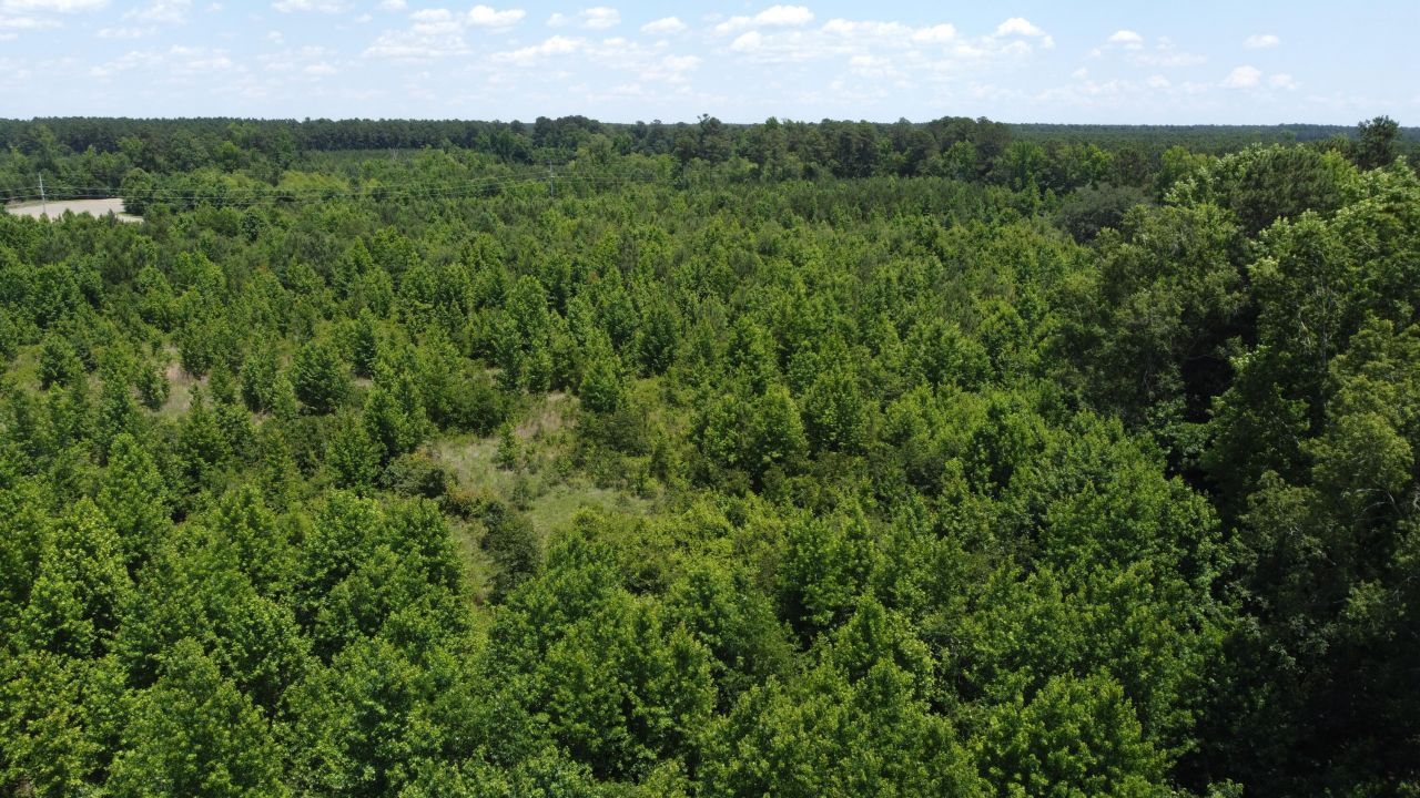 0 Nates Store Road Photo 28