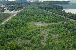 0 Nates Store Road photo 4