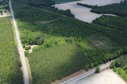 0 Nates Store Road photo 4