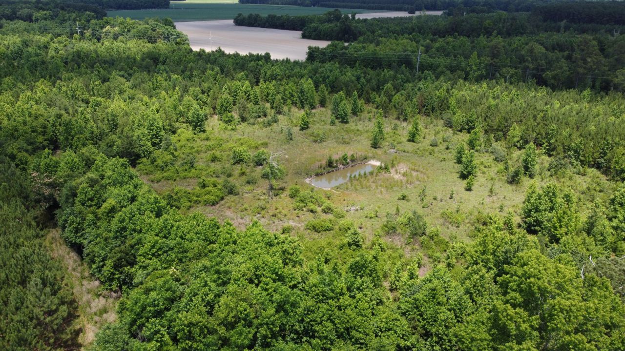 0 Nates Store Road Photo 7