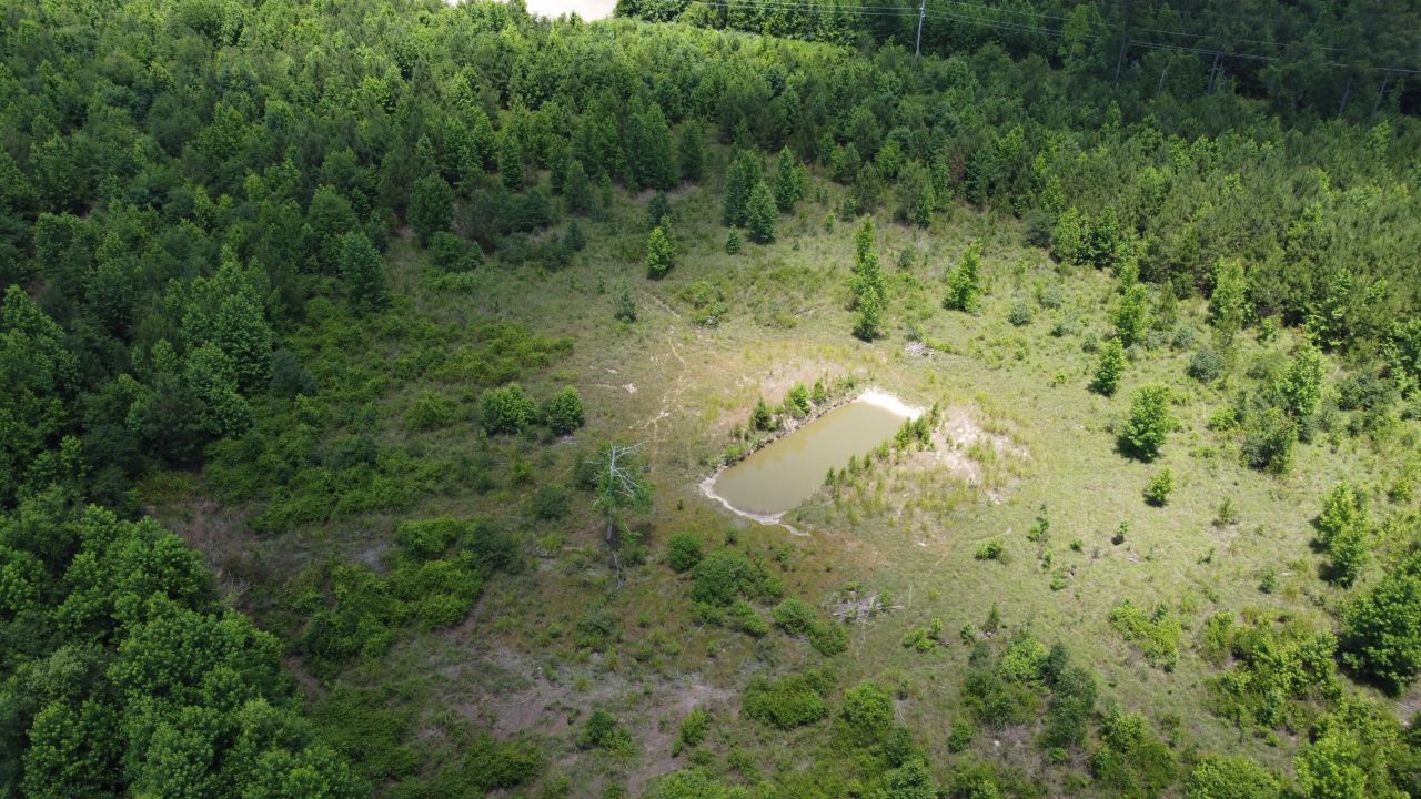 0 Nates Store Road Photo 8