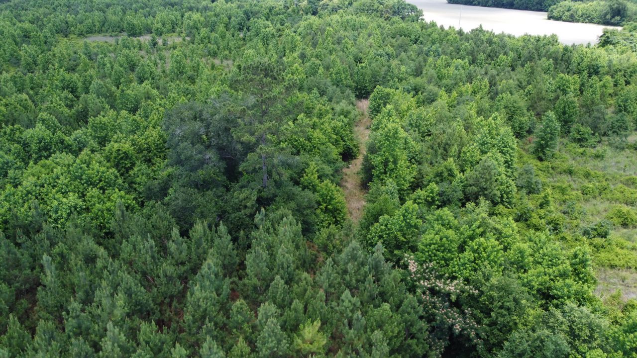 0 Nates Store Road Photo 9