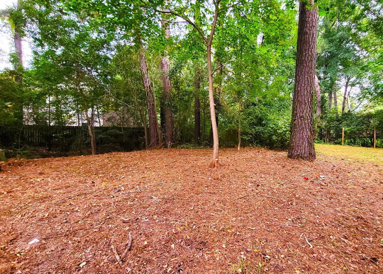 118 Langley Drive Photo 6