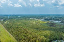 1184 Limehouse Lane  photo 4