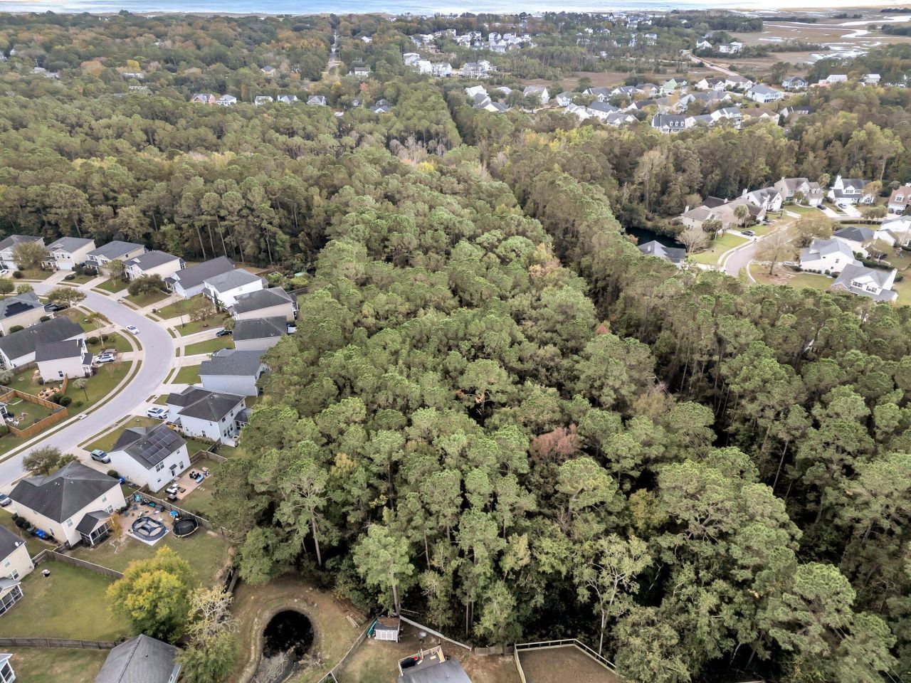 3587 N Highway 17 Photo 5