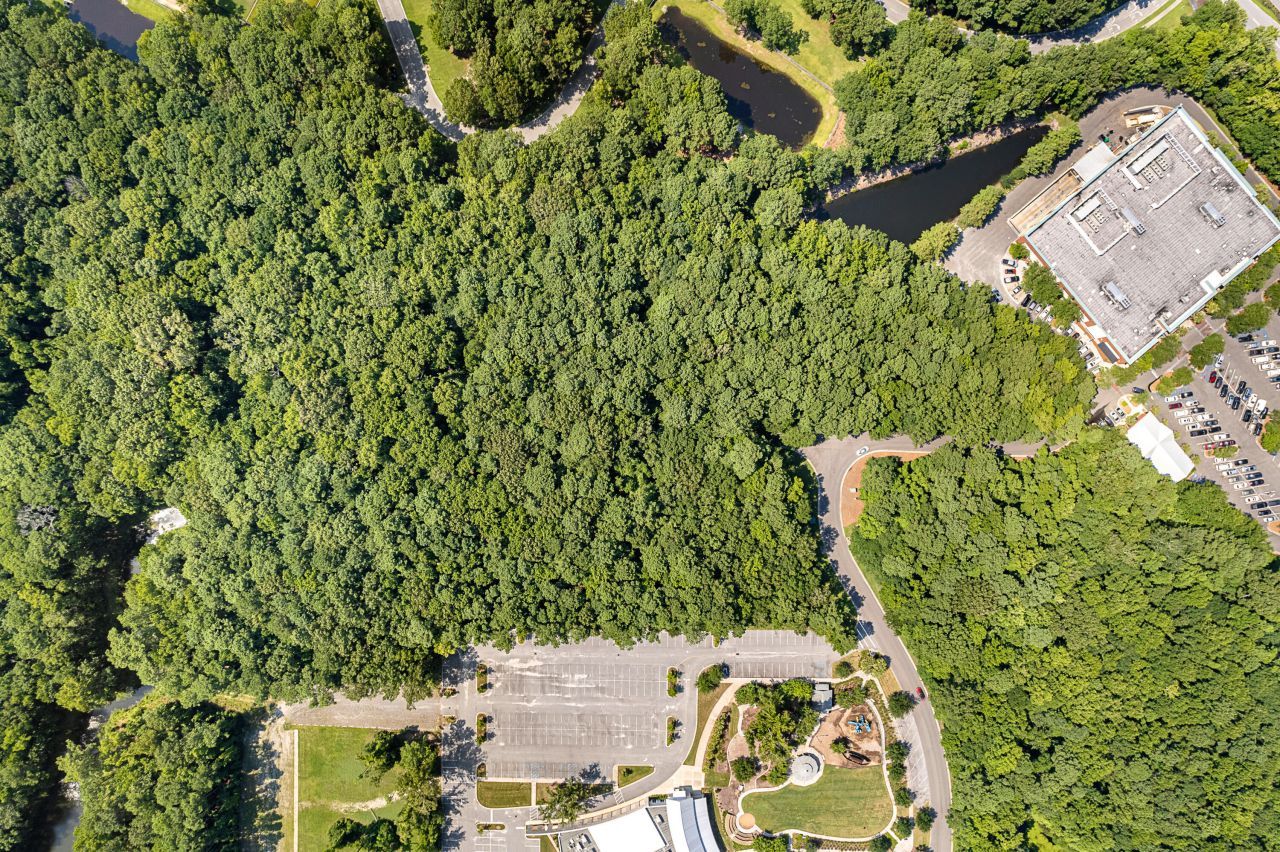 0 George Browder Boulevard Photo 10