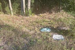 220 N Highway 52 photo 4