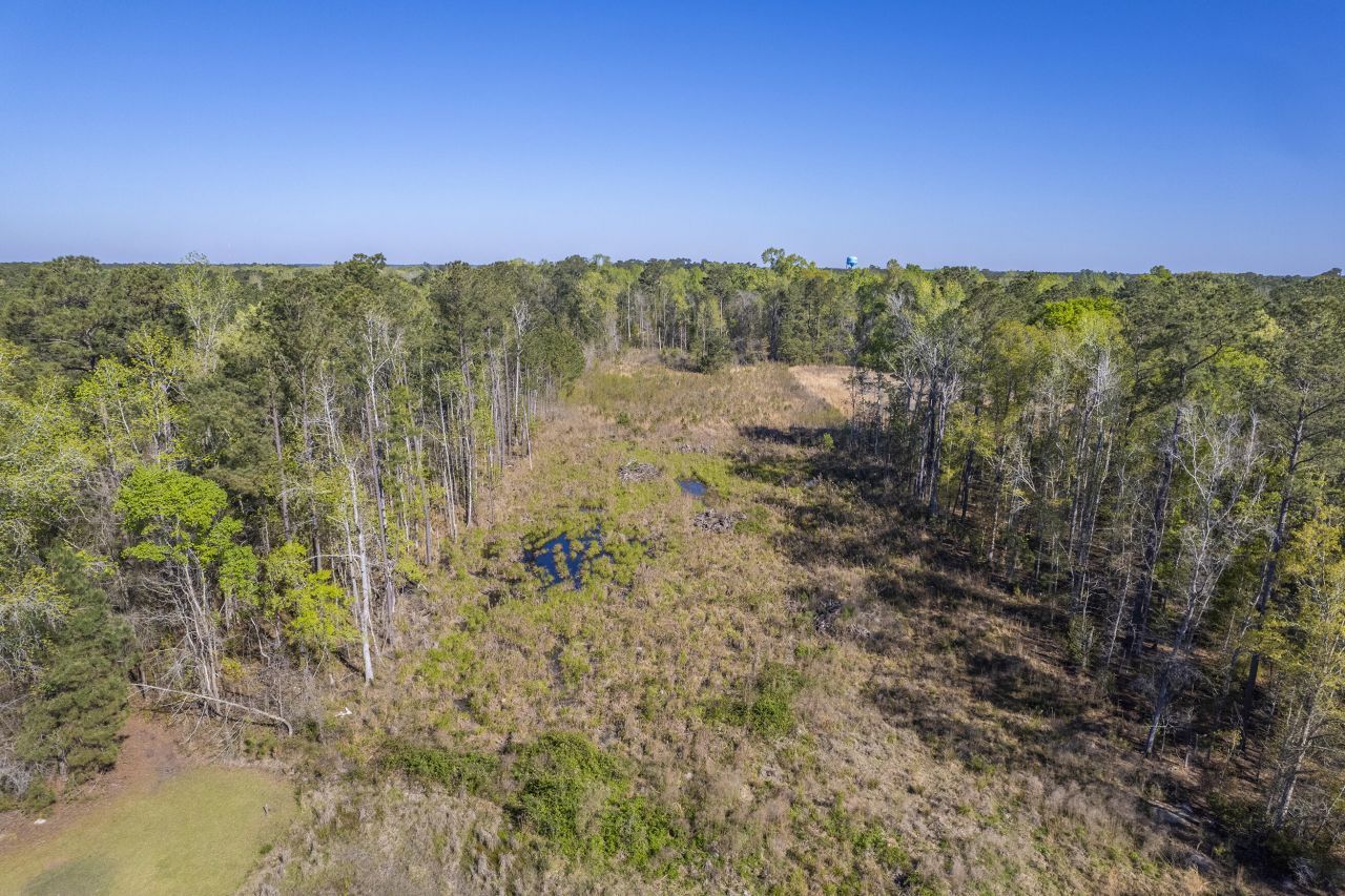 000 Greyback Road Photo 26