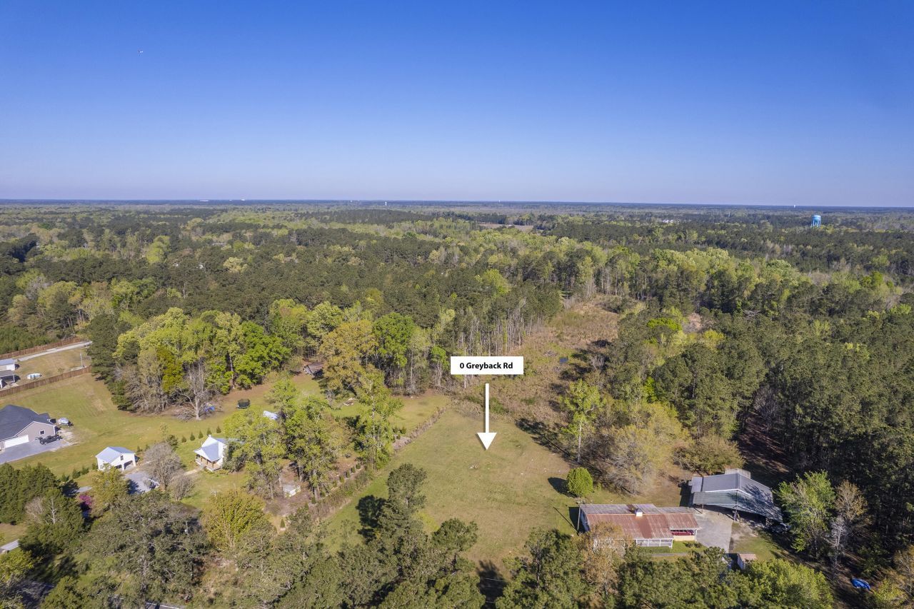 000 Greyback Road Photo 3