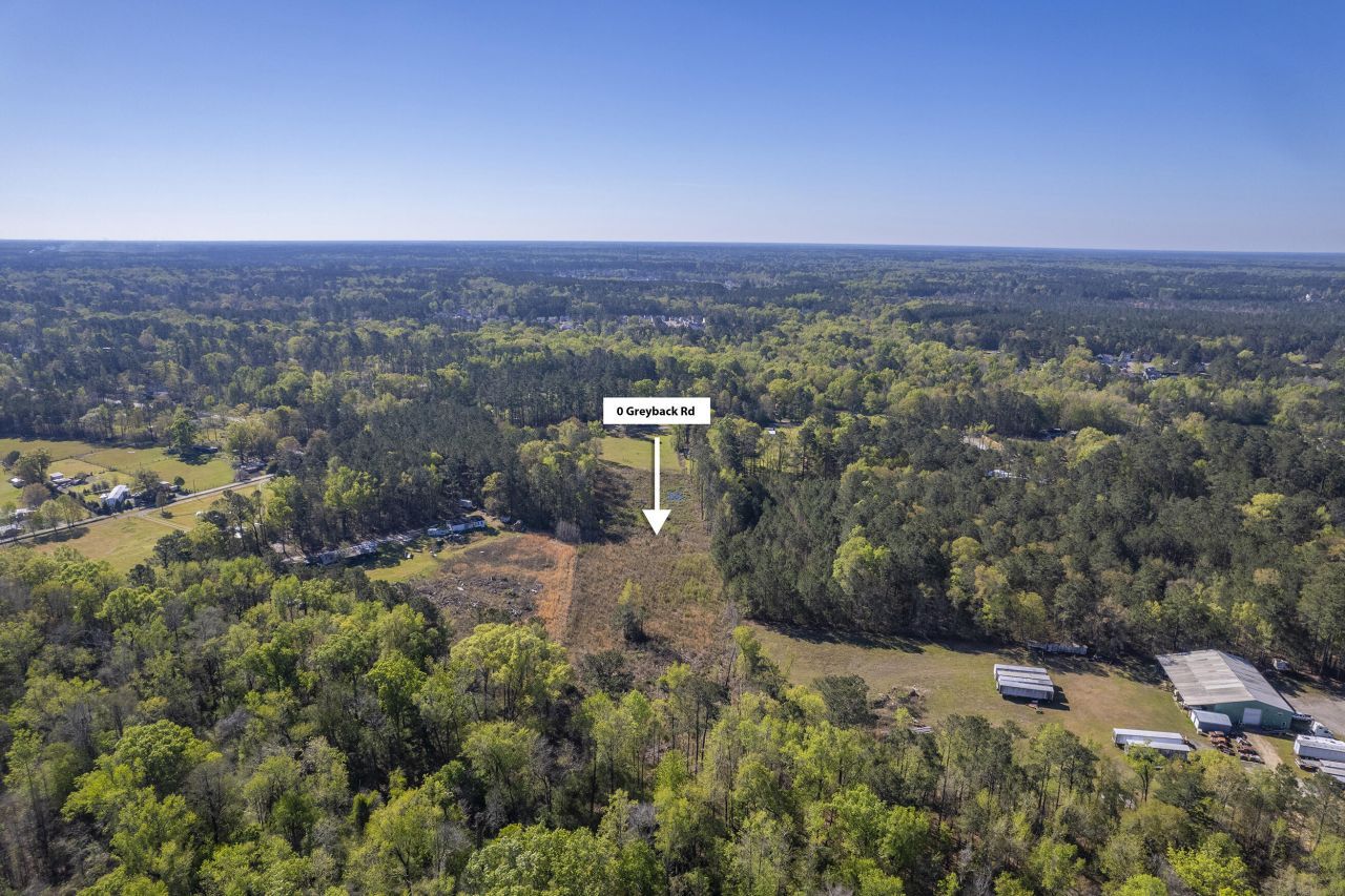 000 Greyback Road Photo 5