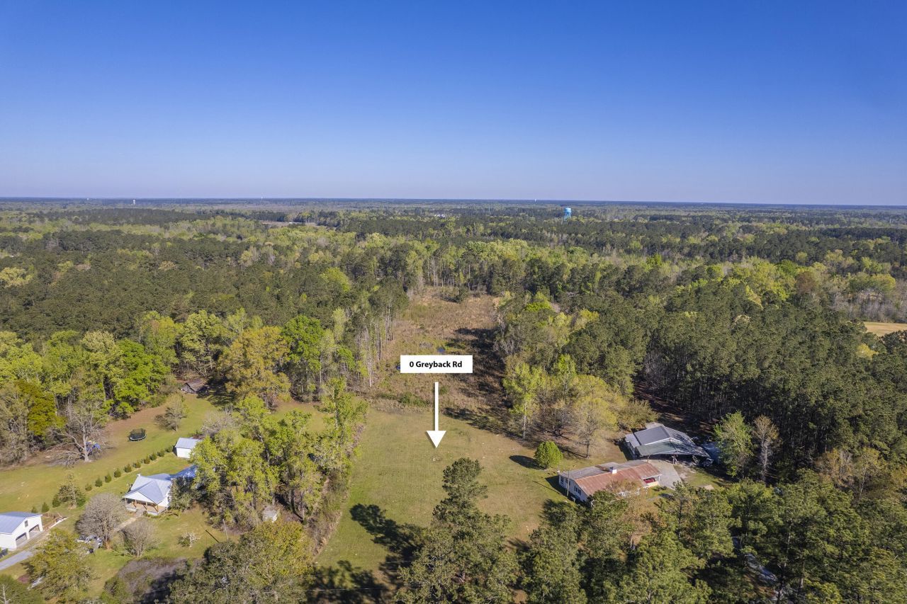 000 Greyback Road Photo 9