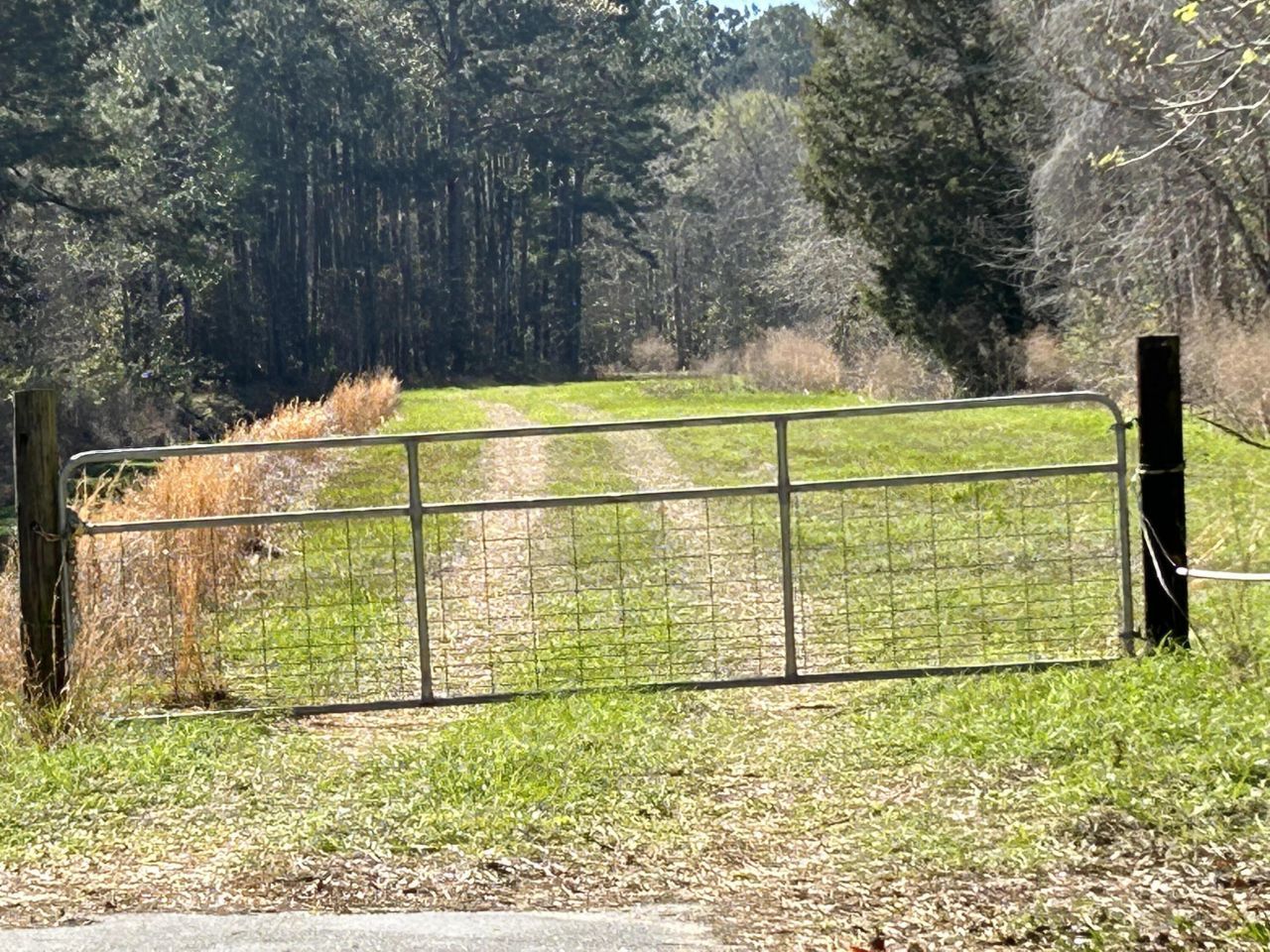 6347 Hwy. 165  Photo 1