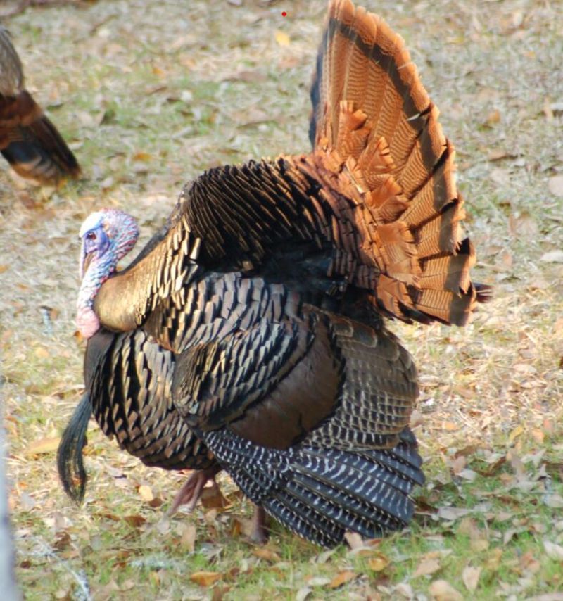 6347 Hwy. 165  Photo 2