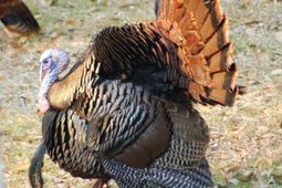 6347 Hwy. 165  photo 4