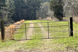 5285 Hwy 165  photo 4