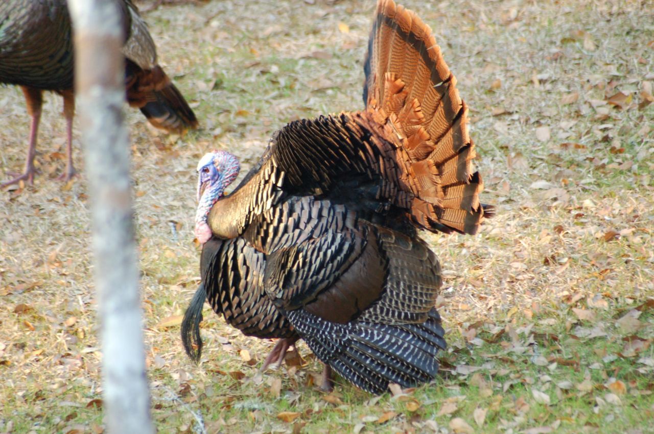 5285 Hwy 165  Photo 4