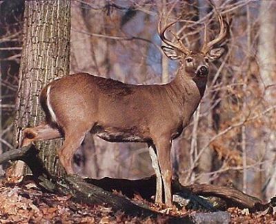 5285 Hwy 165  Photo 5