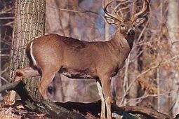 5285 Hwy 165  photo 4