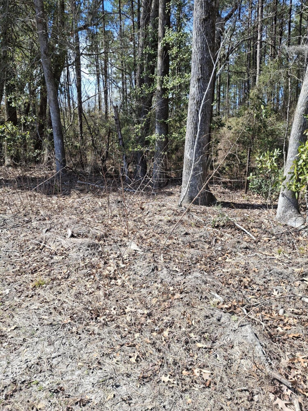 County Line Road Photo 1