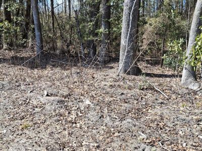 County Line Road, Dorchester, SC 29470