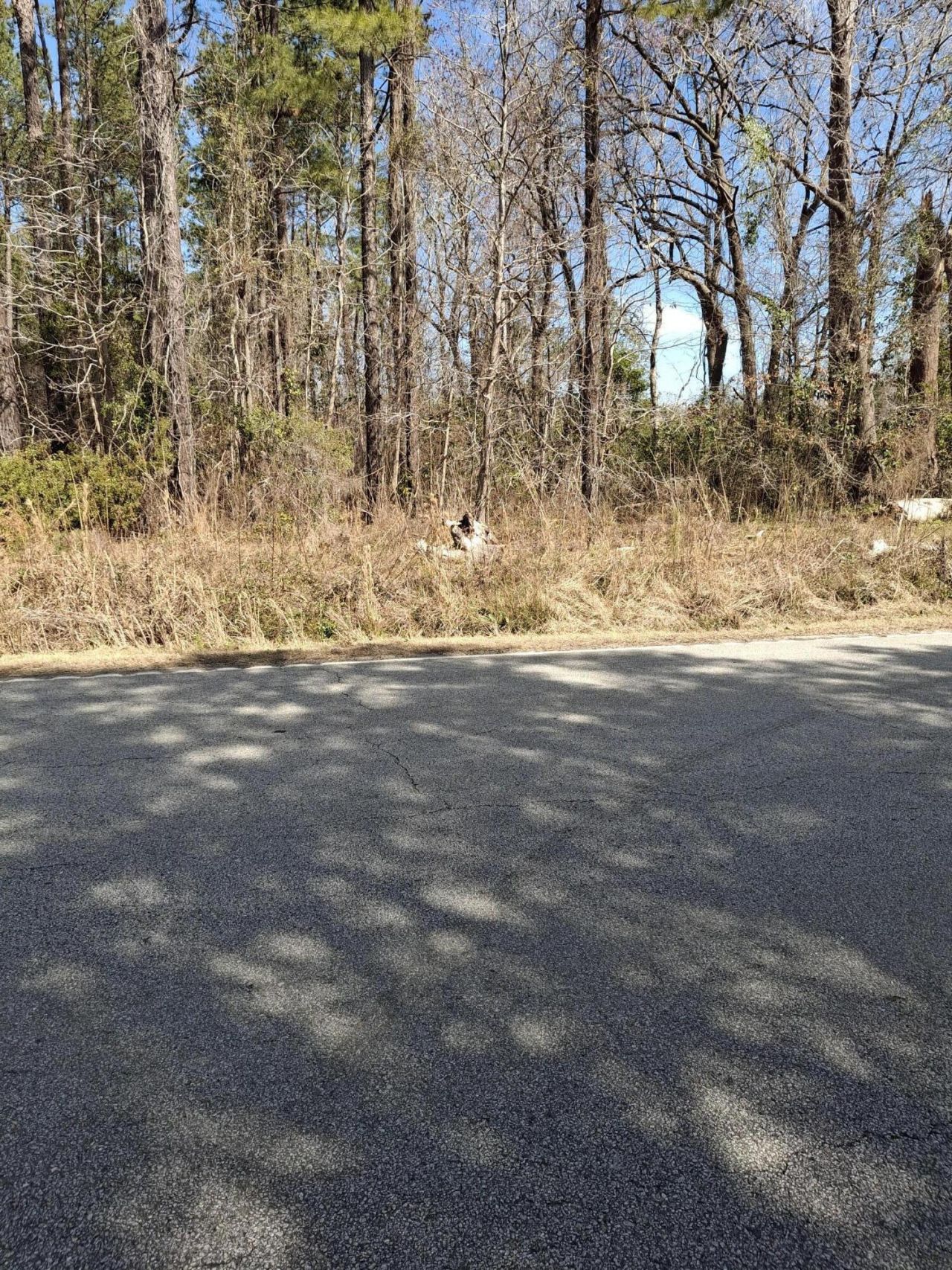 County Line Road Photo 2