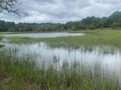 4141 Highway 174 , Hollywood, SC 29449